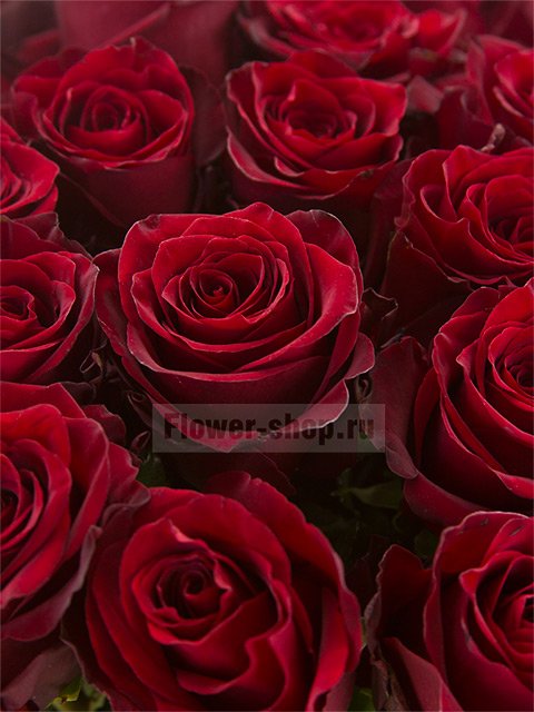 Букет из длинных бордовых роз «Желаю счастья!»