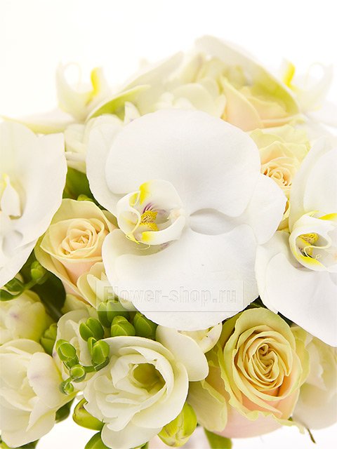 Букет невесты открытый из роз, орхидей и фрезий №2