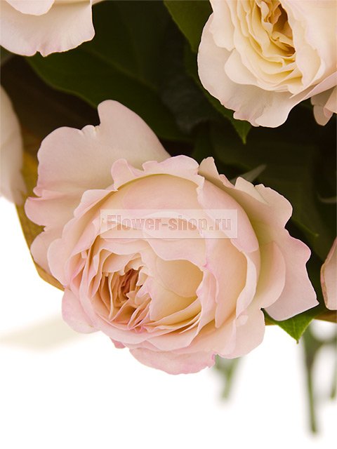 Букет из английских розовых роз