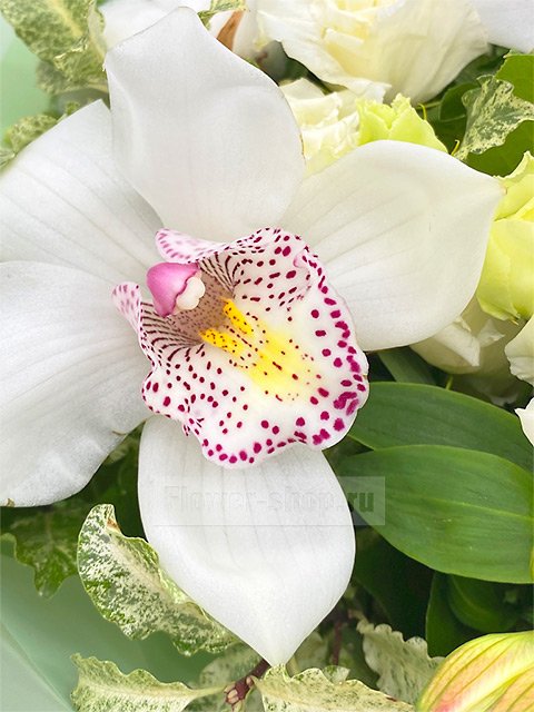 Букет из орхидей, лизиантусов и хлопка «Легкое волнение»