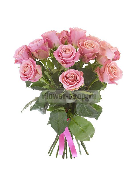 Букет из 15 розовых эквадорских роз