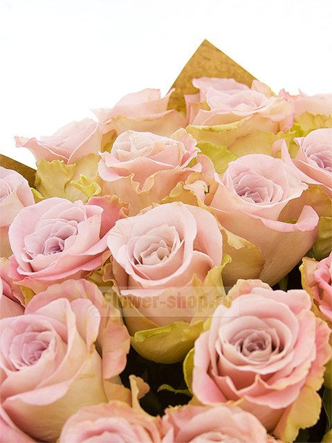 Букет из 25 розово-сиреневых роз