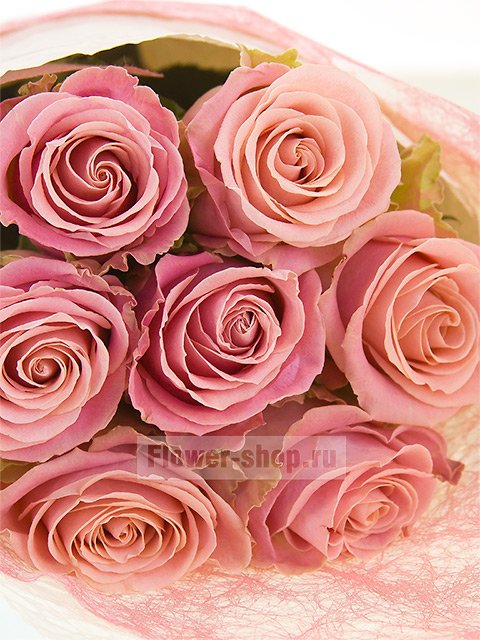 Букет из 7 розовых эквадорских роз