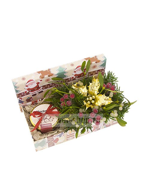 Новогодняя композиция в коробке с омелой и медом «Посылка от Деда Мороза»