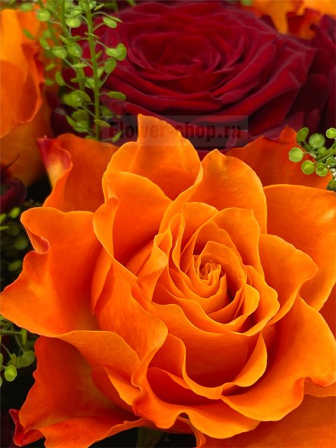 Букет из красных и рыжих роз «Ялта»