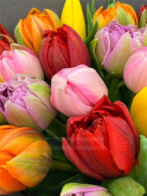 Букет из 21 разноцветного тюльпана