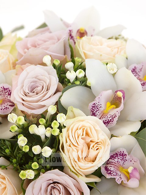 Букет из роз, орхидей и боувардии в шляпной коробке «Ревиваль»