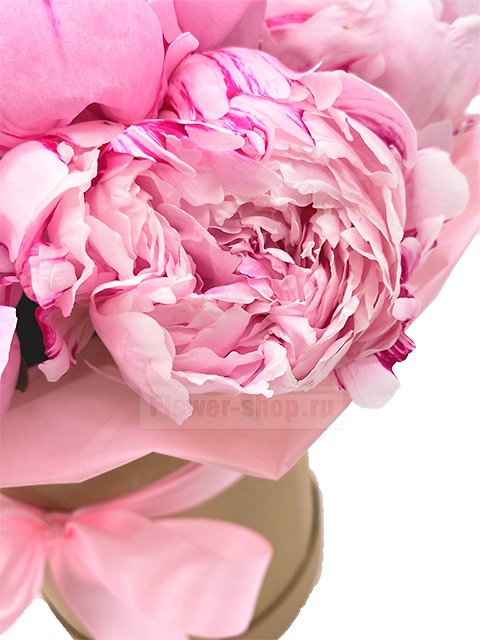 15 розовых пионов в шляпной коробке