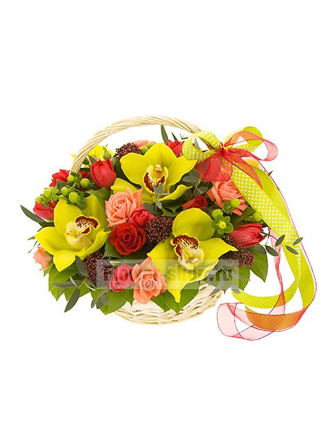 Корзина с розами, тюльпанами и орхидеями «Тасмания»