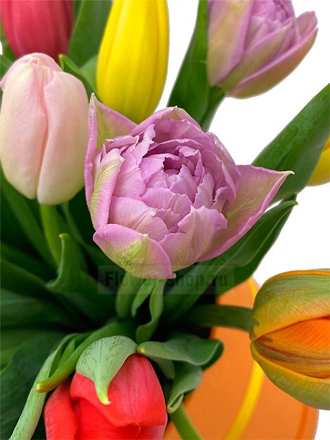 27 разноцветных тюльпанов в шляпной коробке