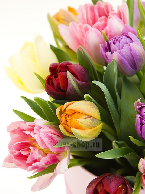 Микс из 19 разноцветных тюльпанов в шляпной коробке