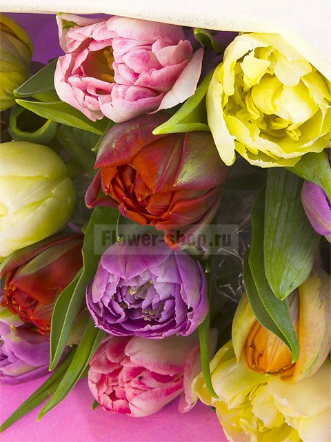Букет из 15 красочных тюльпанов