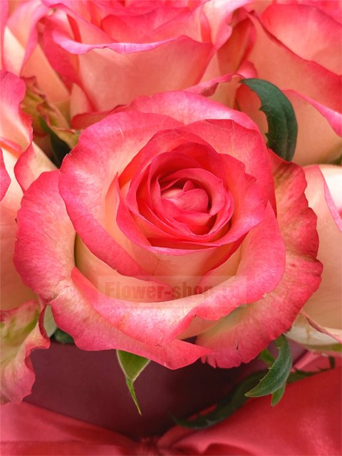 Букет из роз в шляпной коробке «Джумилия»