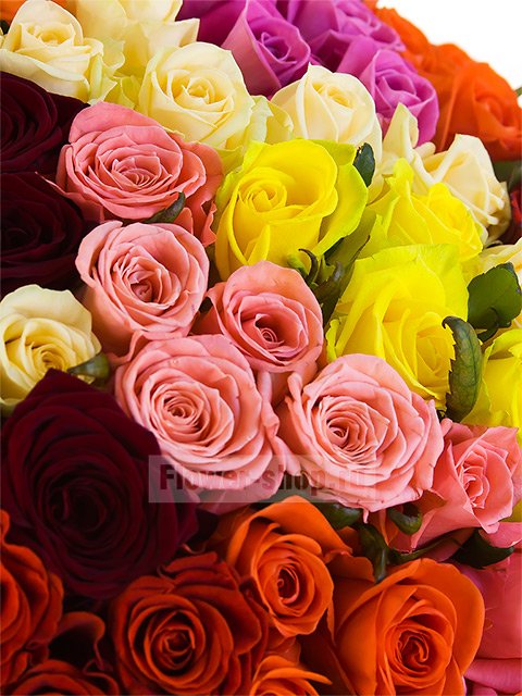 Букет из 201 разноцветной розы