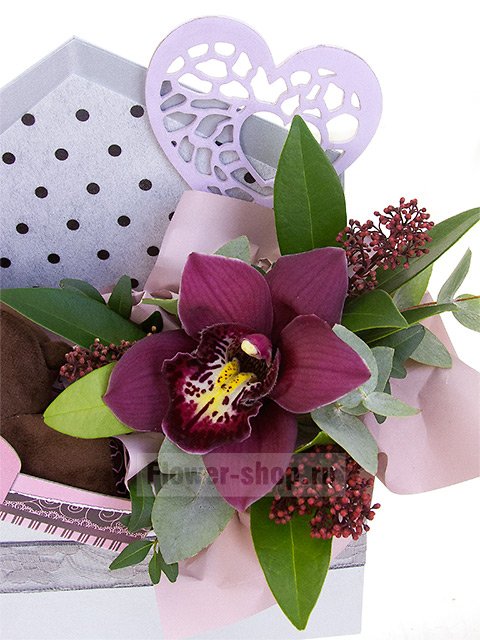 Композиция из орхидеи с мягкой игрушкой «Плюшевая любовь»