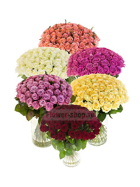 501 разноцветная роза в стеклянных вазах