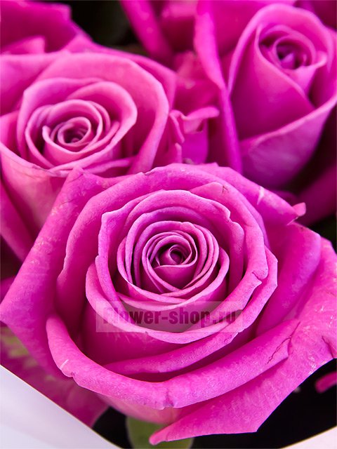 Букет из 51 розы «Розовое озеро»