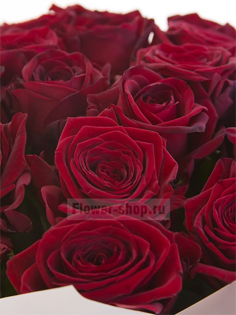 Букет из 25 бордовых роз