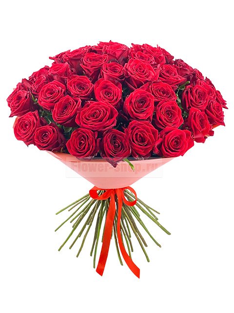 Букет из 51 розы Гран При «Красная ковровая дорожка»