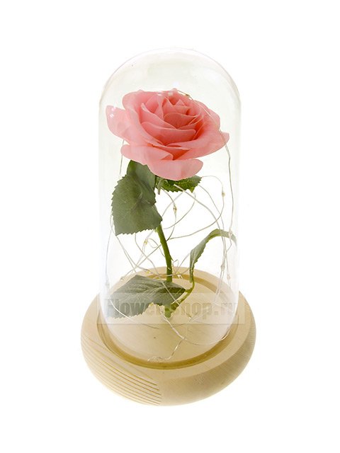 Роза в колбе «Розовая»