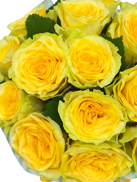 15 желтых роз в шляпной коробке