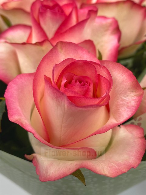 Букет из 15 роз Джумилия