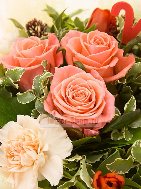 Букет из роз и гвоздик «Подарок для Овна»