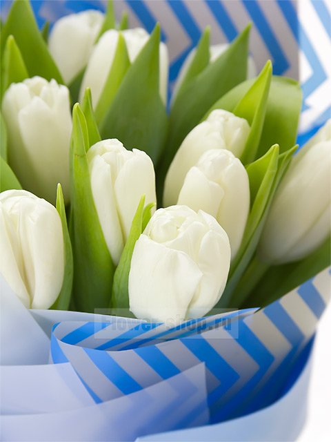 Букет из 17 белых тюльпанов