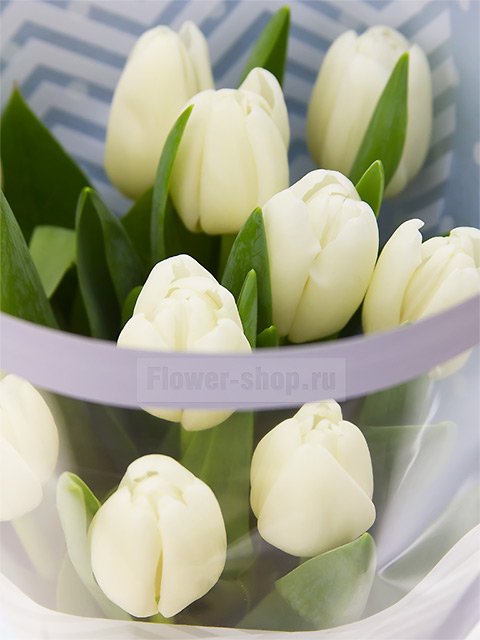 Букет из 11 белых тюльпанов