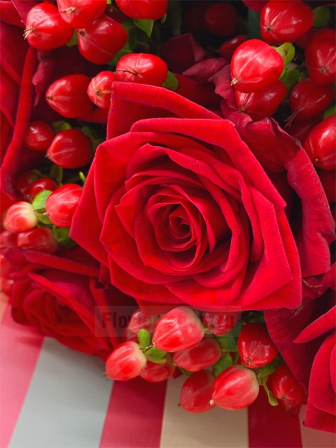 Букет из бордовых роз «Час пик»