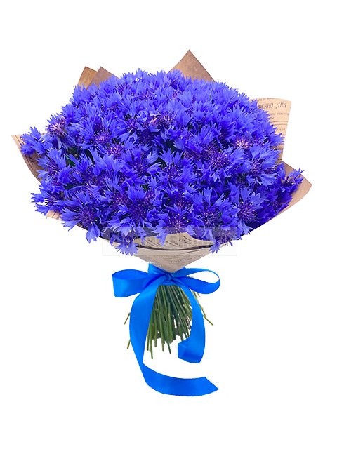 Букет из васильков «Синенький цветочек»