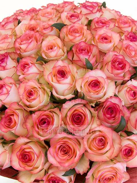 Букет из 101 розы Джумилия