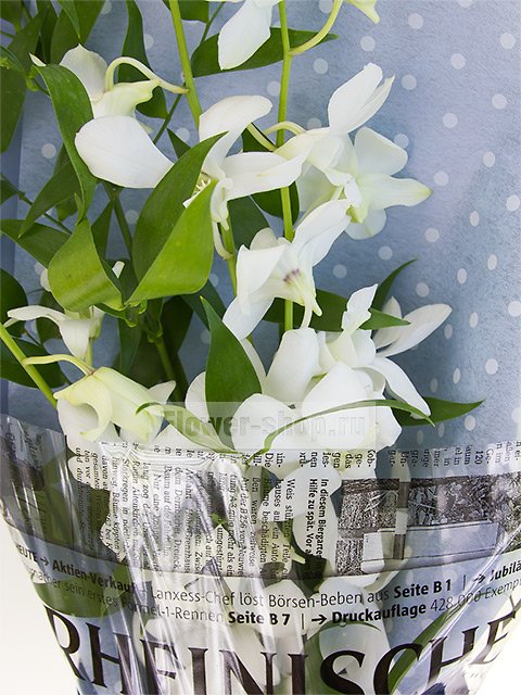 Букет из 3 белых орхидей