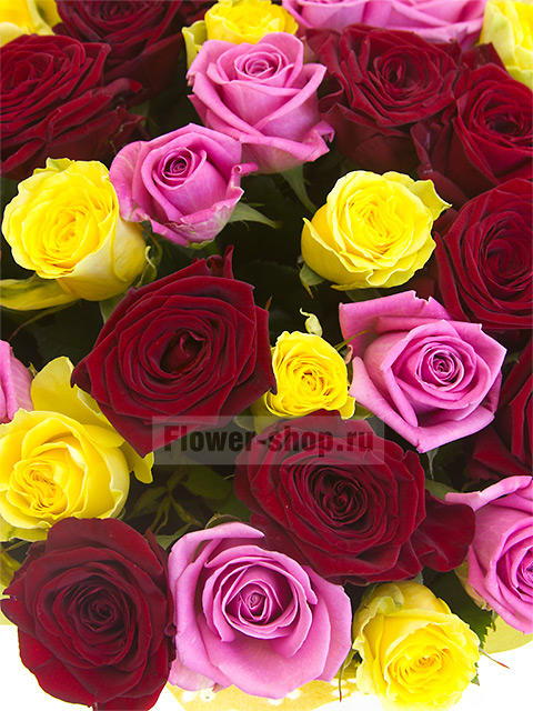 Букет из 51 разноцветной розы «Радуга чувств»