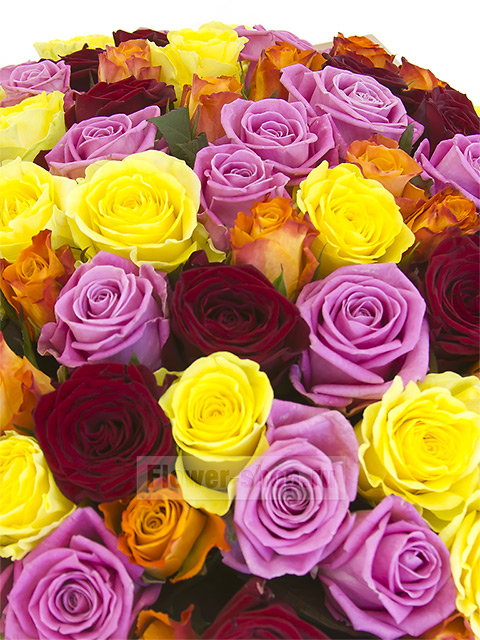 Букет из 101 розы «Брызги красок»
