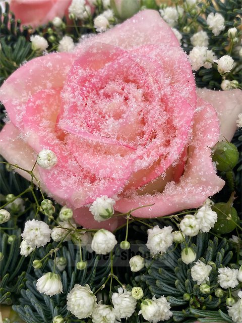 Зимняя композиция из роз и еловых веток в корзине «Зимний рассвет»