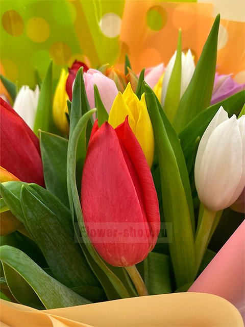 Букет из разноцветных тюльпанов «Шутки-прибаутки»