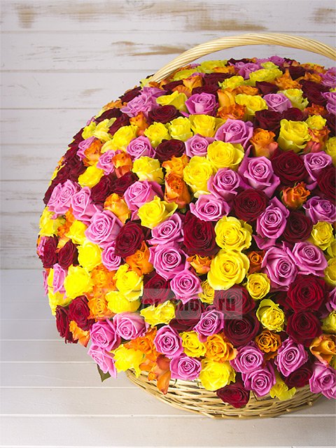 Микс из 501 разноцветной розы