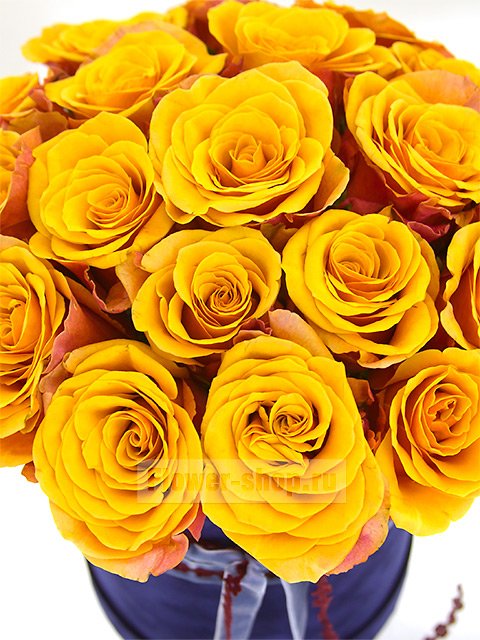 19 желто-красных роз в шляпной коробке