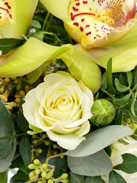 Композиция из роз и орхидей «Фландрия»