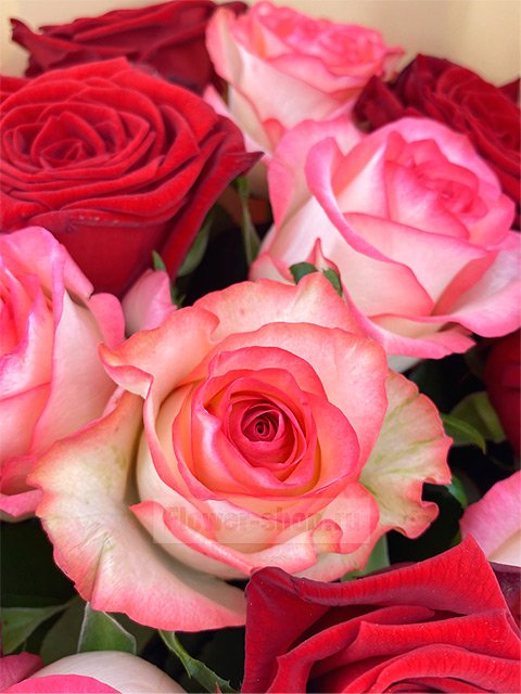 Букет «Румяные розы»