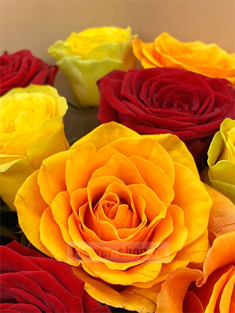Букет «Яркие розы»