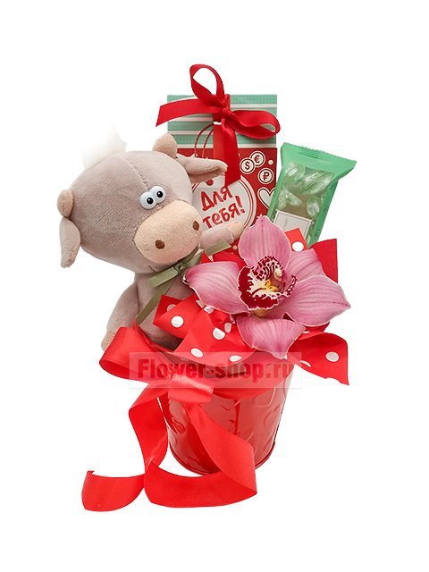 Композиция из орхидеи с мягкой игрушкой «Подарки для тебя»
