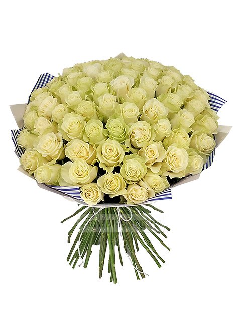Букет из 75 белых эквадорских розы Премиум