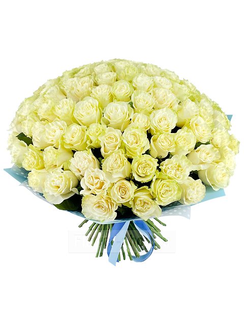 Букет из 101 белой эквадорской розы Премиум