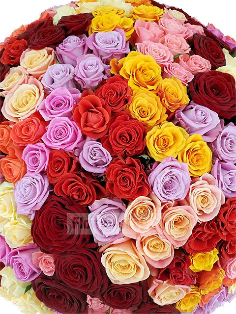 Букет из разноцветных роз «Вулкан»