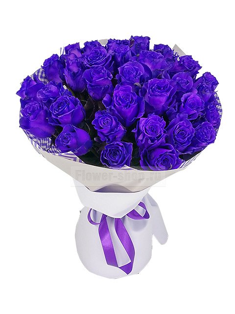 Букет из 35 фиолетовой эквадорской розы