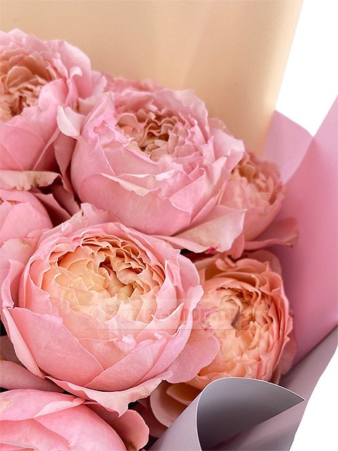Букет из 7 персиково-розовых пионовидных кустовых роз
