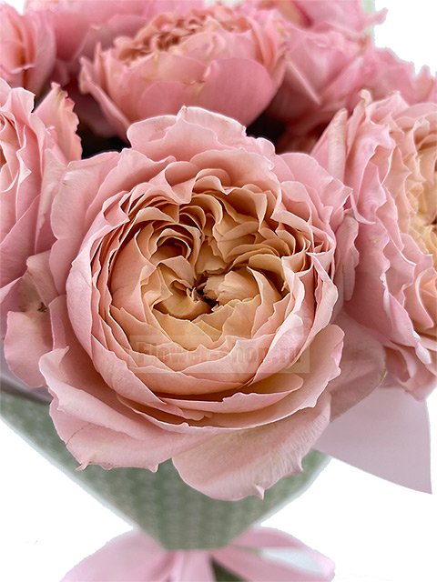 Букет из 9 персиково-розовых пионовидных кустовых роз