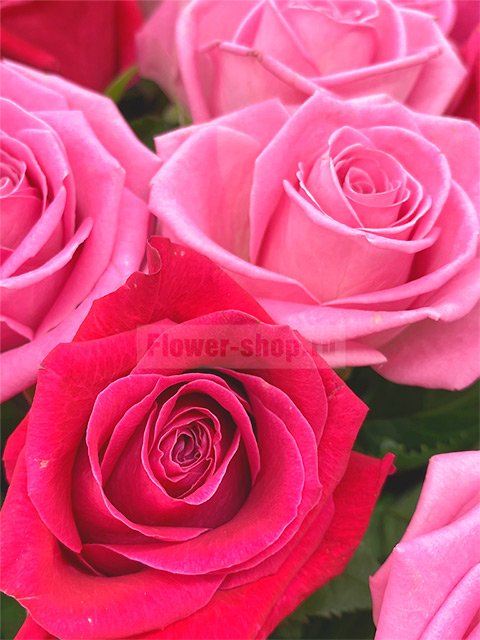 Букет из роз «Романтичный дуэт»